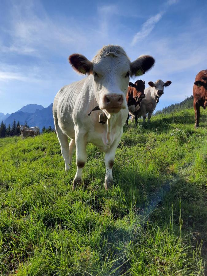 Motthof Lägenhet Lermoos Exteriör bild